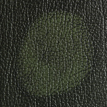 Click here to view a larger picture of Rub Off Green