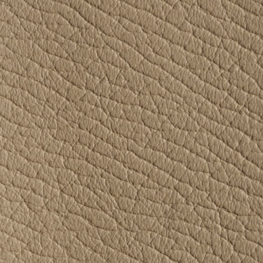 Click here to view a larger picture of Dollaro Dark Beige