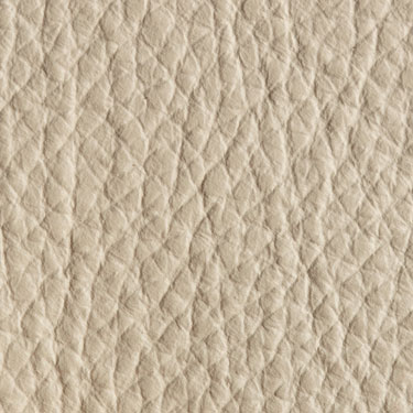Click here to view a larger picture of Dollaro Beige